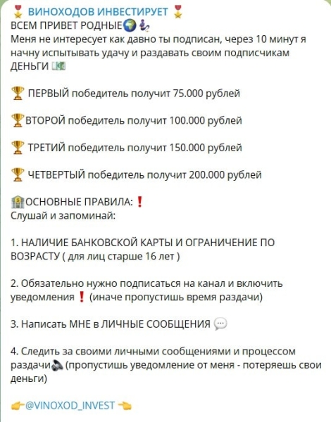 Михаил Васильевич. Отзывы о каналах Виноходов инвестирует и дарит в телеграме