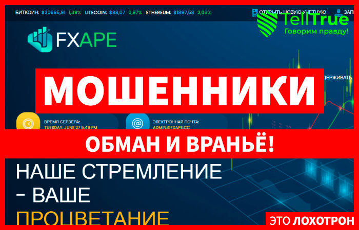 Fxape (fxape.cc): обзор и отзывы