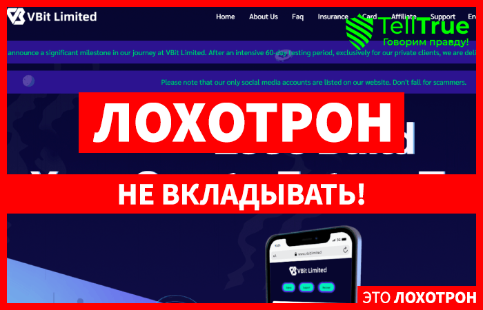 Vbit Limited (vbit.limited): обзор и отзывы