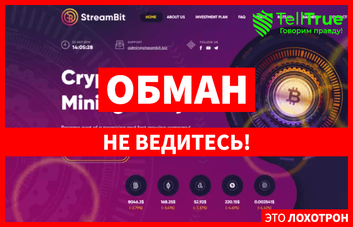 StreamBit (streambit.biz): обзор и отзывы