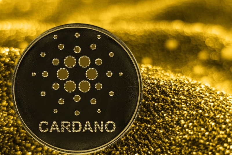 IntoTheBlock: Число прибыльных Cardano-адресов достигло годового максимума