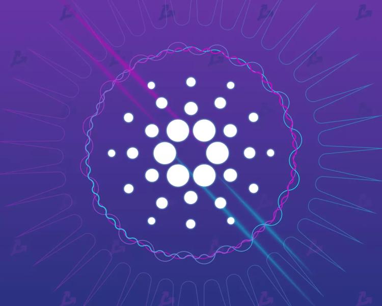 В IOHK выразили недовольство отсутствием Cardano в отчете Messari